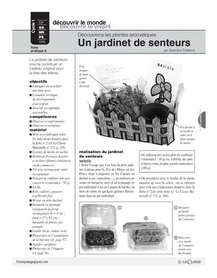 Plantes aromatiques (6) / Un jardinet de senteurs