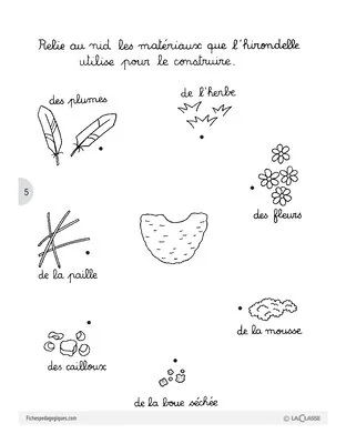 Léa à l'école / L'hirondelle
