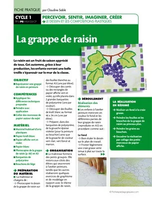 Grappe de raisin