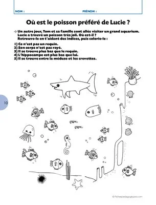 Jeux d'observation et de lecture / Cycle 2
