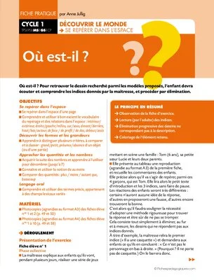 Jeux d'observation MS-GS