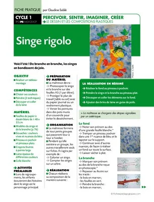 Singe rigolo