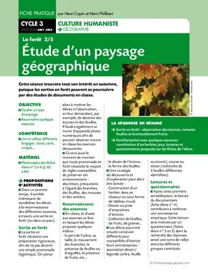 La forêt (2) / Etude d'un paysage géographique