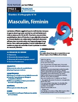 Chantiers d'orthographe (4) / Masculin, féminin