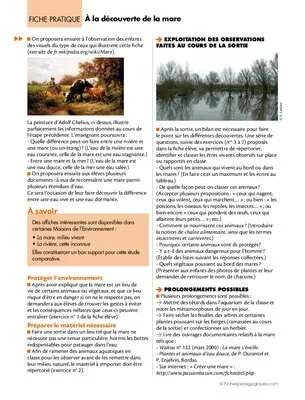 Sorties scolaires (4) / A la découverte de la mare