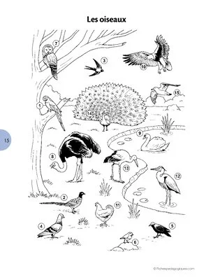 Mots croisés des animaux