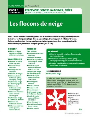 Les flocons de neige
