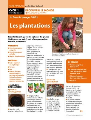 La fleur du potager (10) / Les plantations