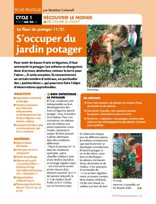 La fleur du potager (11) / S'occuper du jardin potager