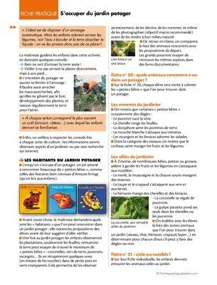 La fleur du potager (11) / S'occuper du jardin potager