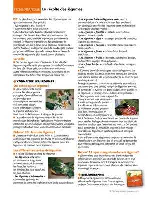 La fleur du potager (12) / La récolte des légumes