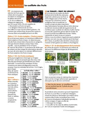 La fleur du potager (13) / La cueillette des fruits
