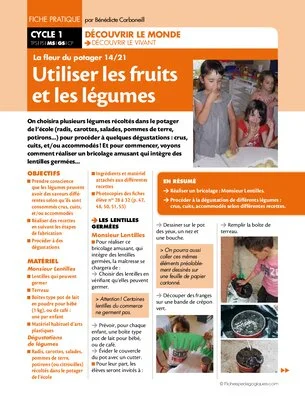 La fleur du potager (14) / Utiliser les fruits et les légumes
