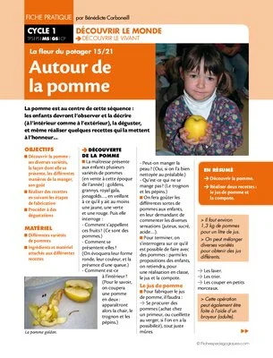 La fleur du potager (15) / Autour de la pomme