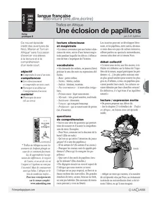Trafics en Afrique (8) / Une éclosion de papillons