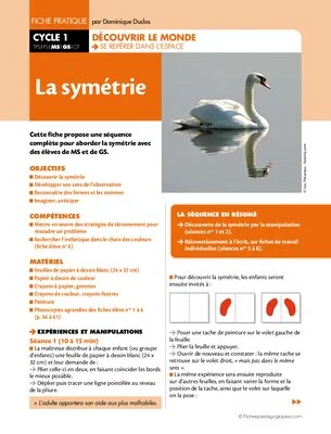 La symétrie (MS - GS)