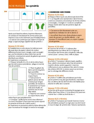 La symétrie (MS - GS)