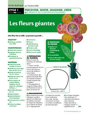 Les fleurs géantes