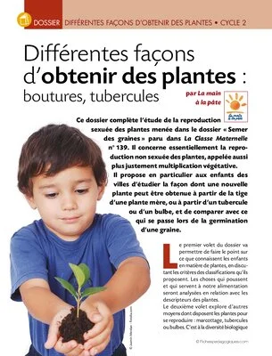 Obtenir des plantes (cycle 2)