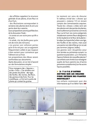 Obtenir des plantes (cycle 2)