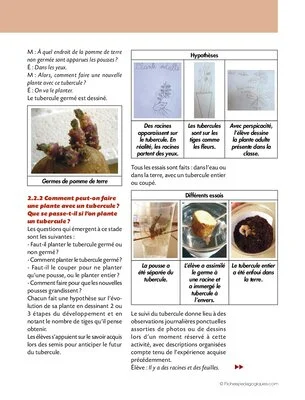 Obtenir des plantes (cycle 2)