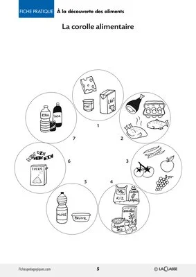 A la decouverte des aliments