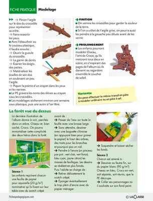 Oiseau et croco