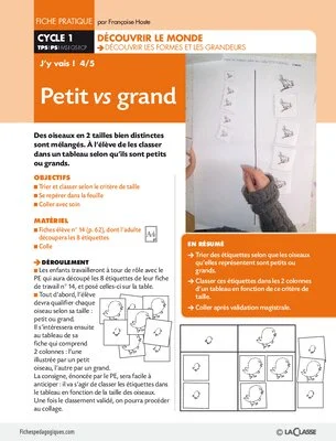 J'y vais ! petit vs grand