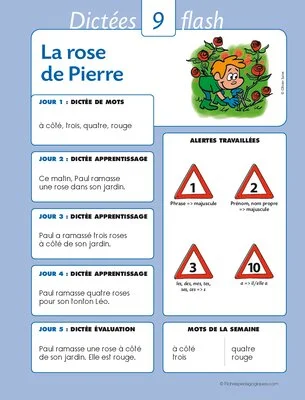 La dictée flash mode d'emploi