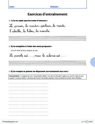 Pack thématique - Chantier d'orthographe (CP)