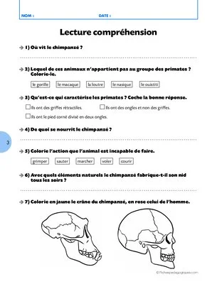 Qui suis-je ? (6) / Le chimpanzé