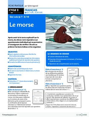 Qui suis-je ? (5) / Le morse