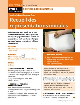 La circulation du sang 1/6. Représentations initiales