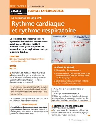 La circulation du sang 3/6. Rythme cardiaque et rythme respiratoire