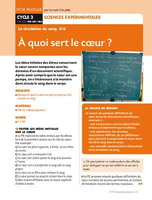 La circulation du sang 4/6. A quoi sert le coeur ?