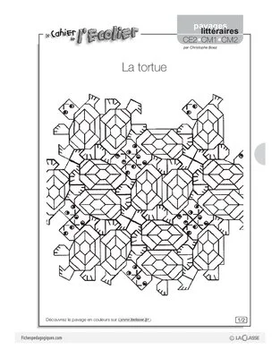 La tortue / Pavages