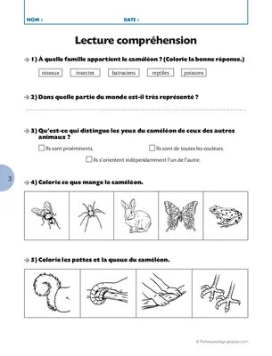 Qui suis-je ? (7) / Le caméléon