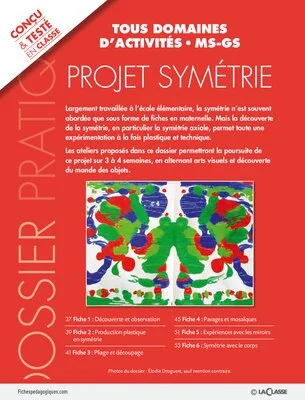 Projet symétrie