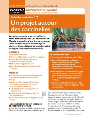 Opération coccinelles (1) Un projet autour des coccinelles