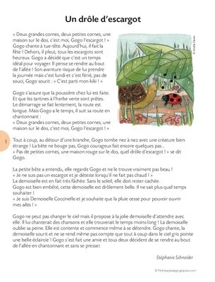 Opération coccinelles (1) Un projet autour des coccinelles