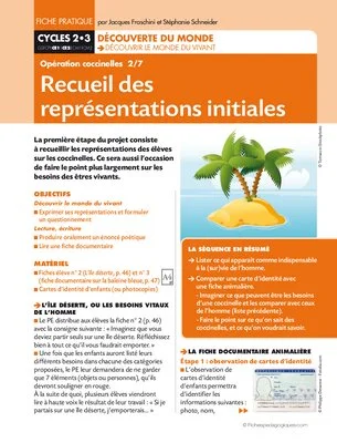 Opération coccinelles (2) Recueil des représentations initiales