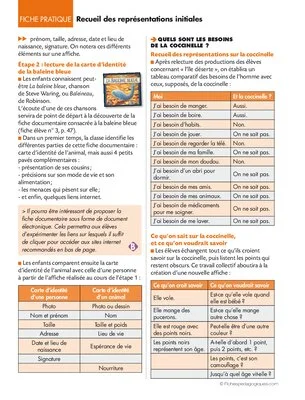 Opération coccinelles (2) Recueil des représentations initiales
