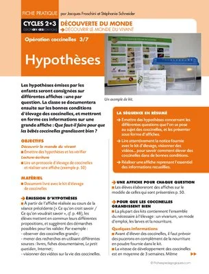 Opération coccinelles (3) Hypothèses