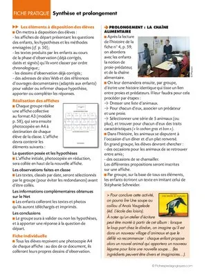 Opération coccinelles (5) Synthèse et prolongement