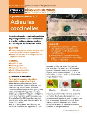 Opération coccinelles (7) Adieu les coccinelles