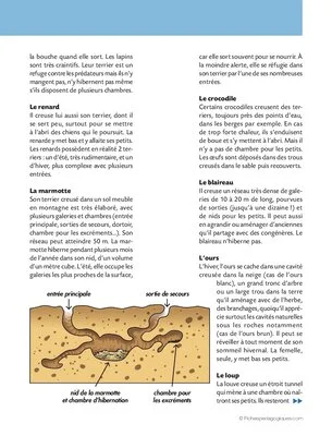 Activités autour de la terre