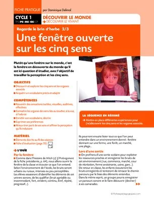 Regarde le brin d'herbe 2/3