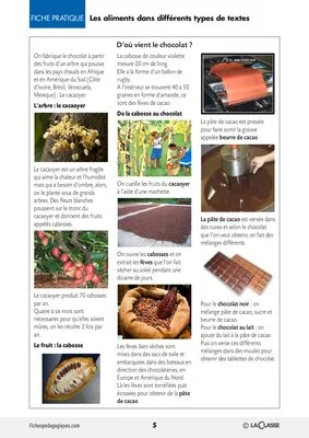 Les aliments dans différents types de textes
