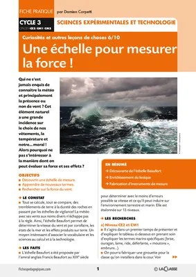 Une échelle pour mesurer la force !