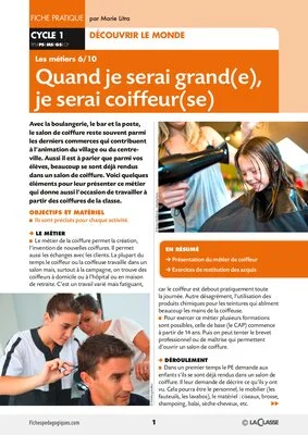 Quand je serai grand(e), je serai...coiffeur(se)